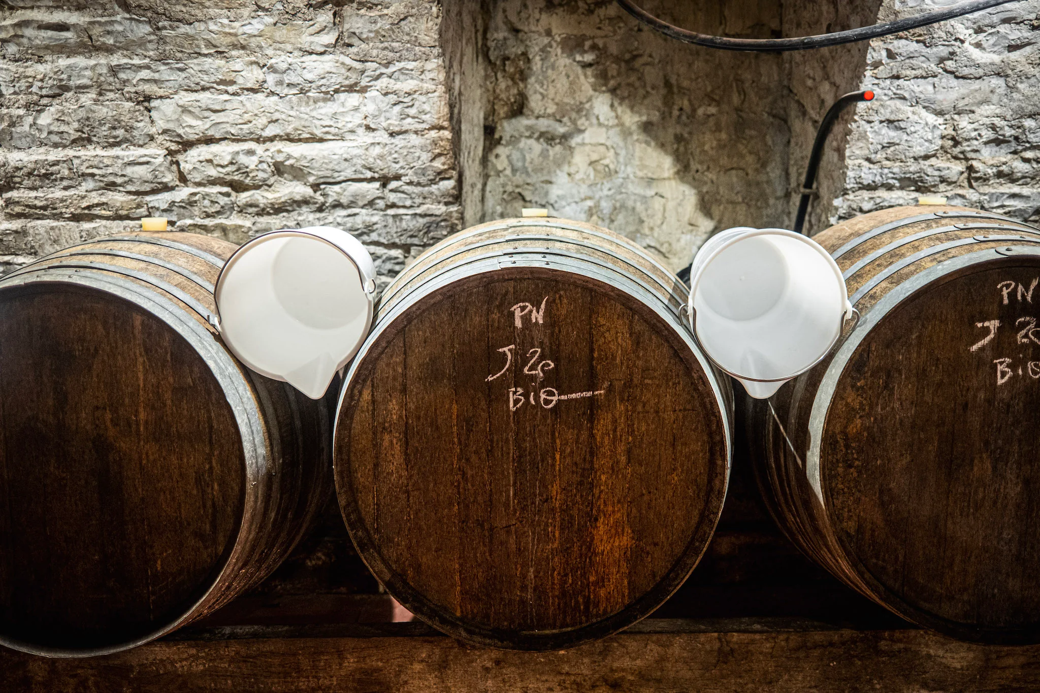 Curated European Wines for Connoisseurs